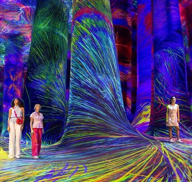 teamLab Phenomena Abu Dhabi immersive art museum near Sei Saadiyat by Aldar on Saadiyat Island, Abu Dhabi — reference institutional imagery